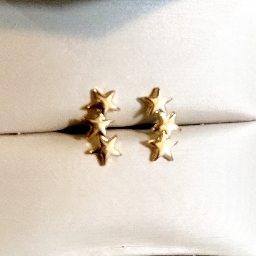 Gold Toned Star Earrings